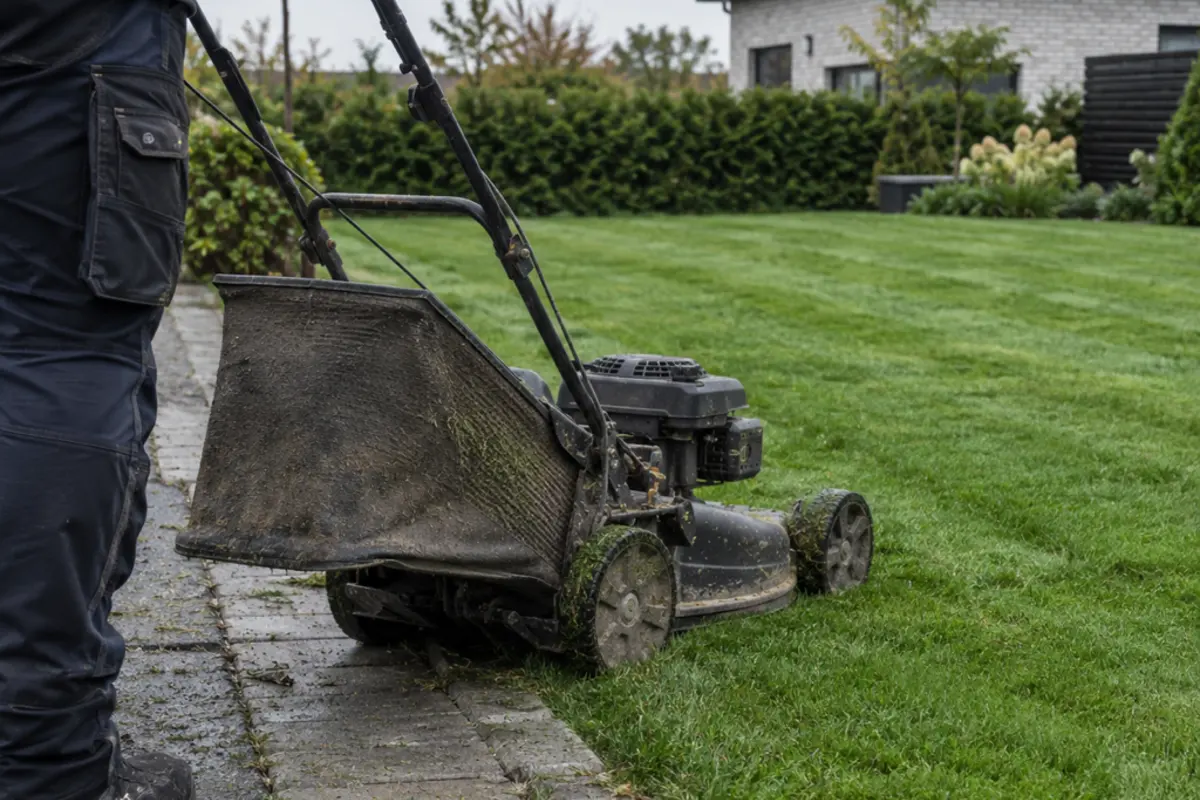 Mower beside a striped lawn edge